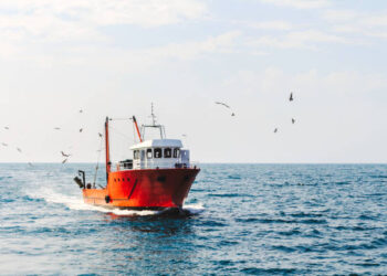 a blue cutter with a flock of seagulls on the North Sea in the sun with wind generators in the background. High quality photo