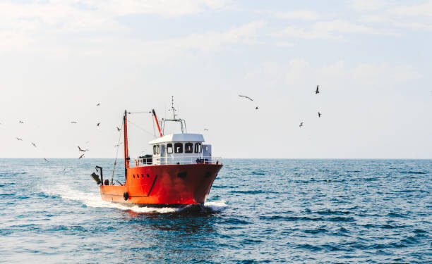 a blue cutter with a flock of seagulls on the North Sea in the sun with wind generators in the background. High quality photo