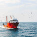a blue cutter with a flock of seagulls on the North Sea in the sun with wind generators in the background. High quality photo